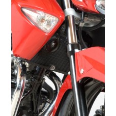 R&G Racing Radiator Guard for the Suzuki GW250 Inazuma '11-'17